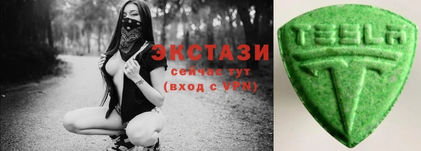стаф Богданович