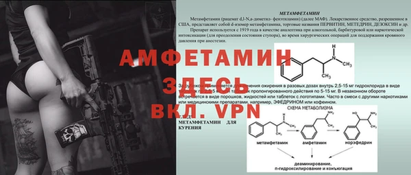 стаф Богданович
