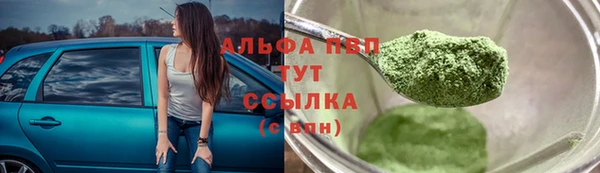 дживик Богородск
