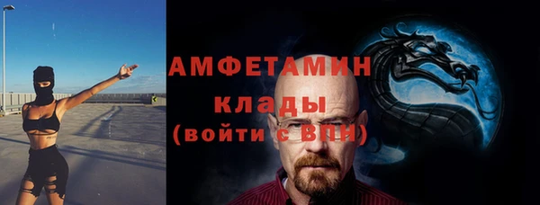 дживик Богородск