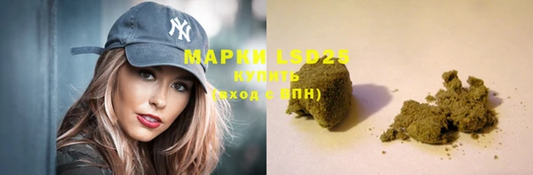 стаф Богданович