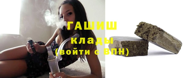 стаф Богданович