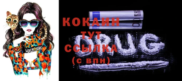 стаф Богданович