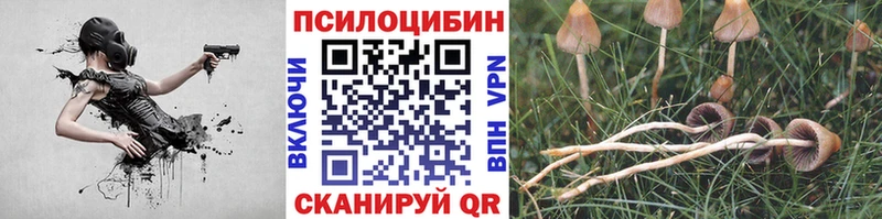 Купить закладки  Соликамск  Псилоцибиновые грибы прущие грибы 